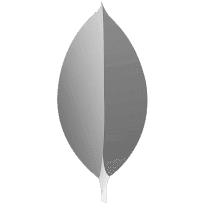 MongoDB
